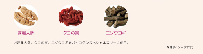 高麗人参、クコの実、エゾウコギ、丁子