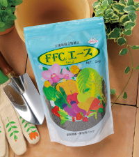 FFCエース